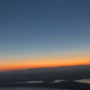 Meet your Posher, Joy